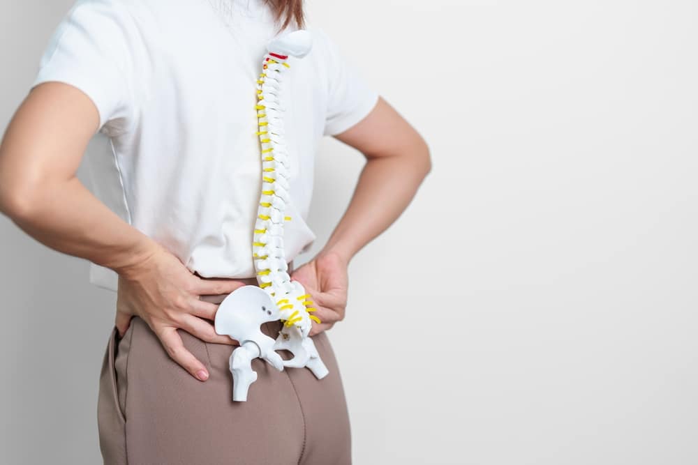 Chiropractic Treatment for Herniated Discs: What You Need To Know