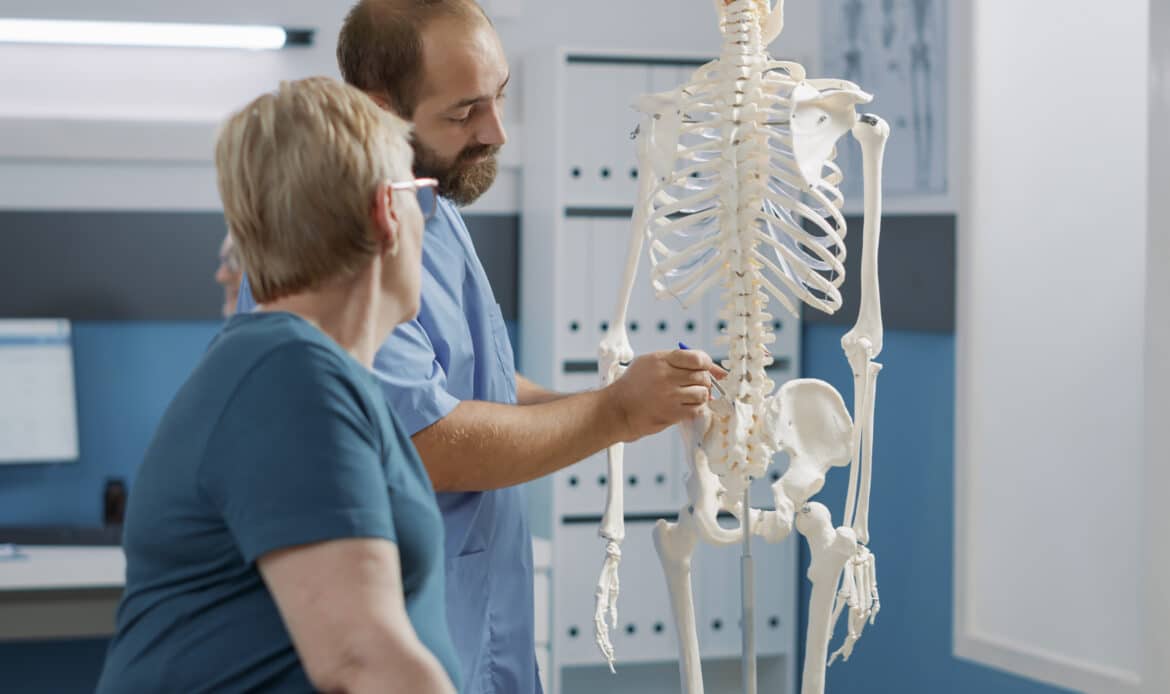 Male doctor pointing at human skeleton to show spinal cord