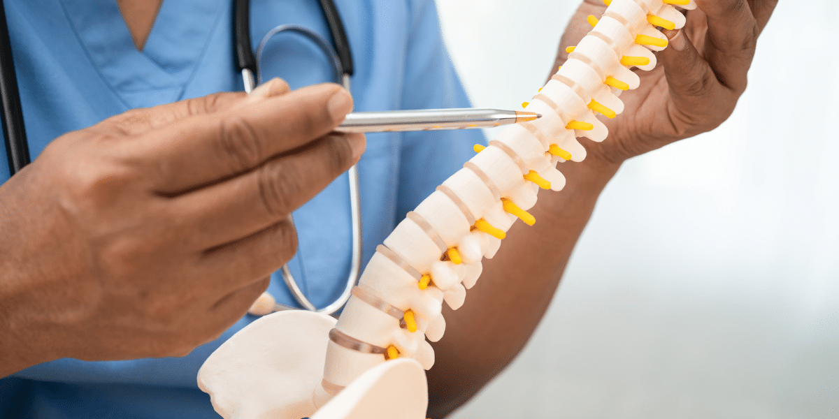 What Is Chiropractic Spine Alignment?